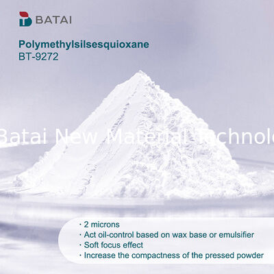 Chất liệu hóa học Polymethylsilsesquioxan Silicone Resin Powder cho lớp phủ công nghiệp chống chịu thời tiết