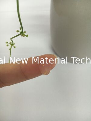 Kem lót trang điểm dựa trên silicone bảo vệ da mặt Gel nền trang điểm không màu với Goldleaf